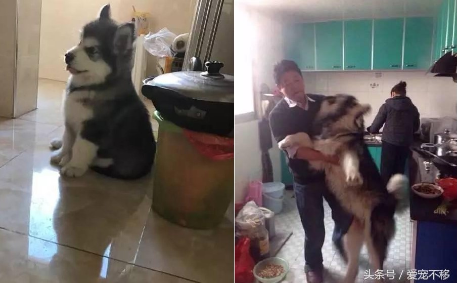 Cùng một tên hai số phận. 1 đứa ngoan bao nhiêu đứa kia thì…cười không nhặt nổi