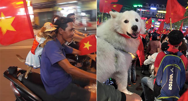 Thú cưng mặc áo cờ ‘đi bão’ ăn mừng chiến thắng AFF cup của ĐTQG Việt Nam