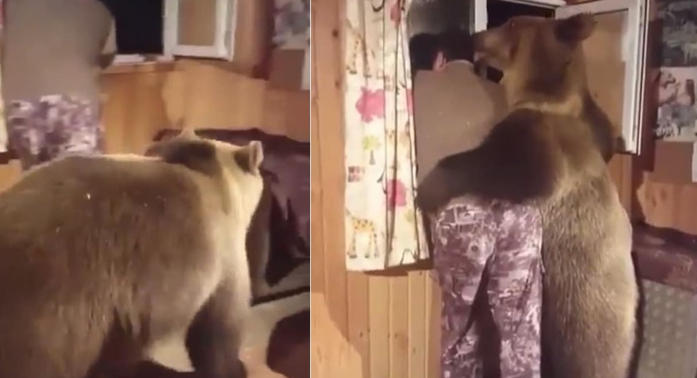 Chàng trai của năm: Chỉ cần đứng yên trong nhà là 'gấu' tự tìm tới, Giáng sinh ấm rồi nhé!