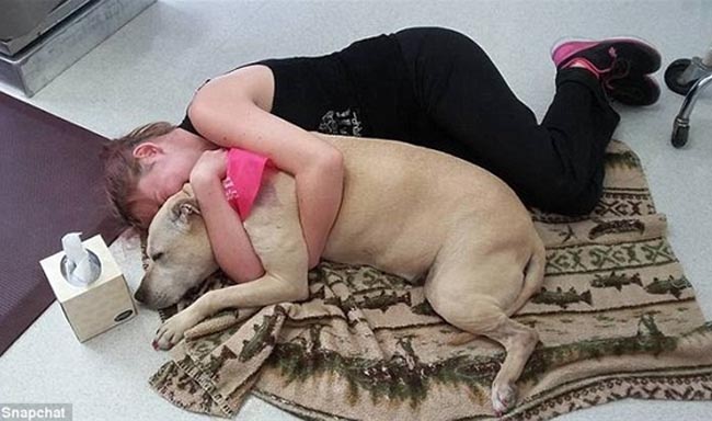 Cảm động rơi nước mắt trước tình cảm chủ dành cho chó cưng đã mất