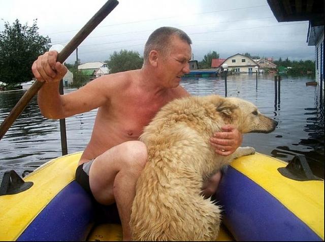 Cảnh tượng không ngờ của gia đình khi đi tránh nạn nhớ ra không thấy cún đâu quay lại nhà để tìm