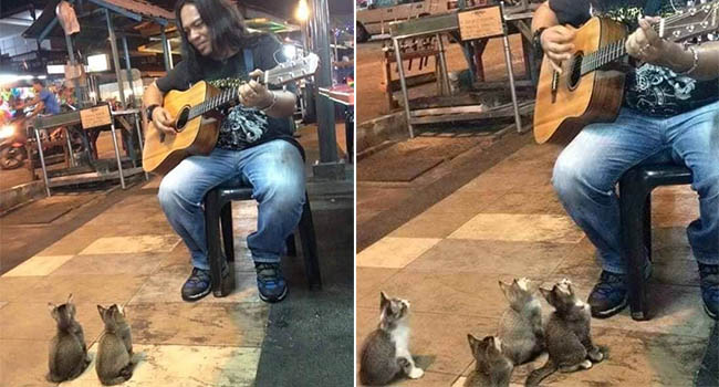 Thương cảm ca sĩ đường phố bị ngó lơ, 4 vị khán giả ‘đặc biệt’ lũ lượt tới ủng hộ tinh thần