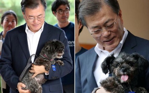 Hàn Quốc thay đổi mạnh thái độ với nghề thịt chó và thói quen ăn chó