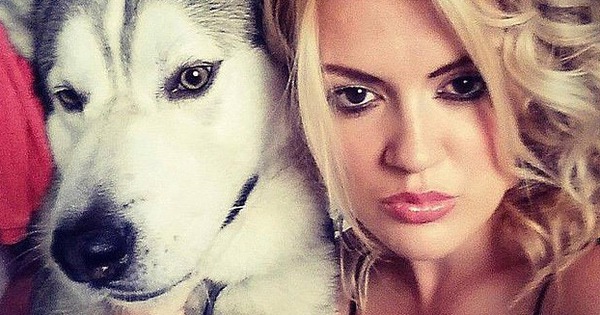 Chó Husky bị cảnh sát bắn chết vì tấn công cô trông trẻ lạ mặt, cư dân mạng tranh cãi: "Nó chỉ giữ nhà thôi mà?"