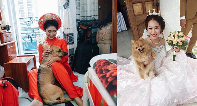 Chết cười triệu biểu cảm của “boss” ngày “sen” lấy chồng: hết buồn bã đến phá hoại