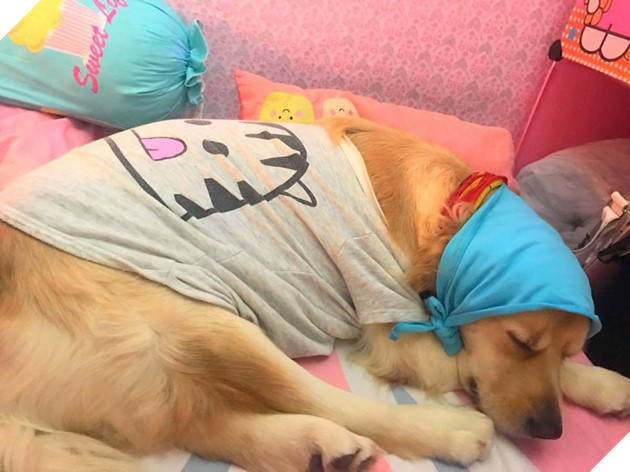 Ngoài kia trời trở lạnh, Boss ta tót ngay lên giường cùng các Sen