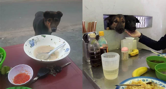 Best “Ăn xin” đẳng cấp của năm: Ở nhà lầu xe hơi vẫn lừa được thanh niên mua cho 20k thịt vịt