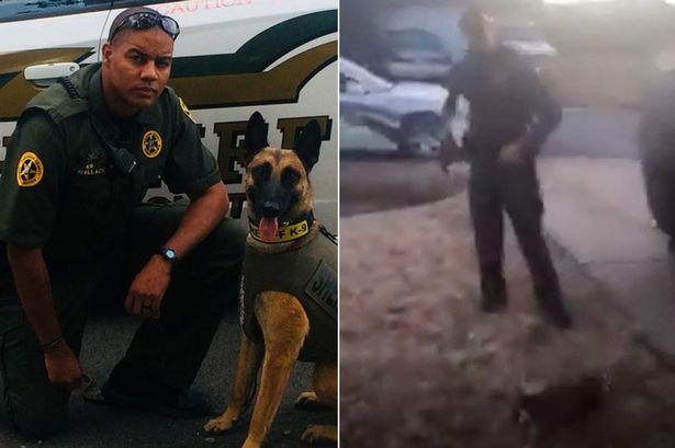 Bị lên án vì bắn chó của người dân, anh cảnh sát Mỹ thanh minh "Tôi chỉ bắn thôi, viên đạn tự bay vào đầu nó đấy chứ"