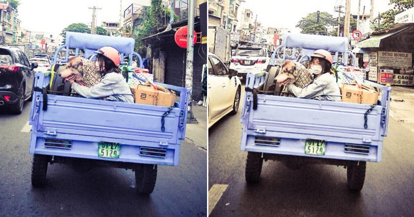Không thể éo le hơn: Ôm boss ngồi thùng xe để chuyển nhà, cô bạn dễ thương bị nhầm là... trộm chó