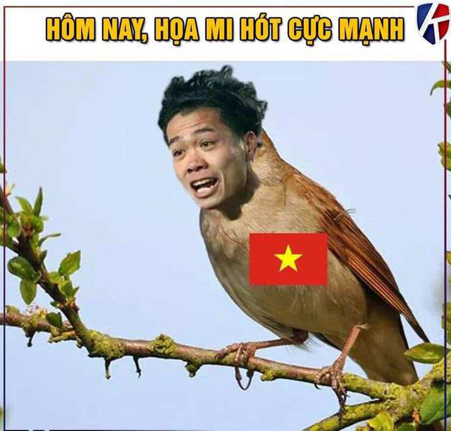 Thắng kịch tính Jordan, cư dân mạng rầm rộ chế ảnh ăn mừng chiến công của tuyển Việt Nam