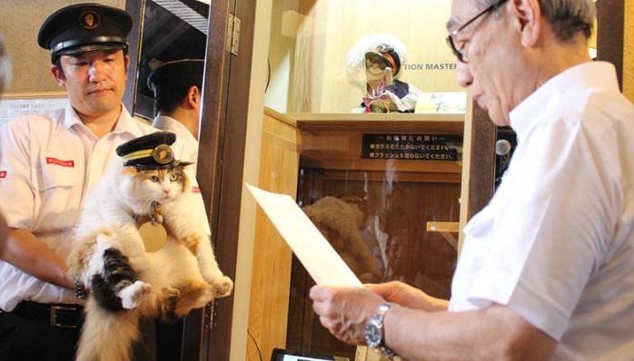 Ngạc nhiên chú mèo thắng bầu cử làm trưởng ga tàu ở Nhật