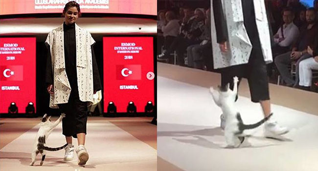 Người mẫu bị ‘tấn công’ trên sàn catwalk ở Thổ Nhĩ Kỳ nhưng không ai nỡ đuổi thủ phạm