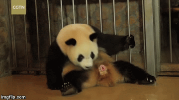 Chắc con sinh ra sẽ có kích thước không nhỏ đâu nhỉ!