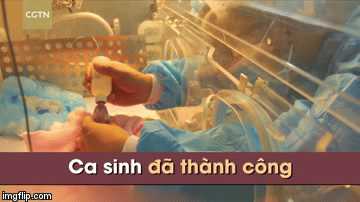 Mẹ gấu sinh ra 2 bé gấu, bé gái nặng 128,2g.