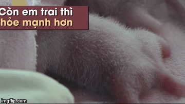 Bé trai với 160,2g.