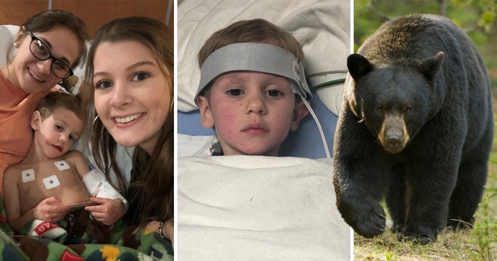 Đi lạc trong rừng suốt hai ngày, cậu bé 3 tuổi được gấu đen 'bảo vệ'