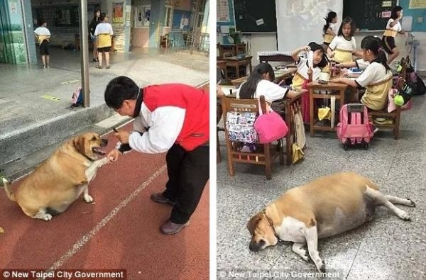 "Đắng lòng" chú bảo vệ chăm chỉ tốt bụng hết chỗ chê nhưng bị nhà trường cấm túc thẳng tay