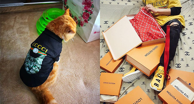 Bà mẹ "sòng phẳng" của năm: Lấy áo Gucci 7 triệu của con lót ổ mèo, xong đền 100k bảo ra chợ mua mới