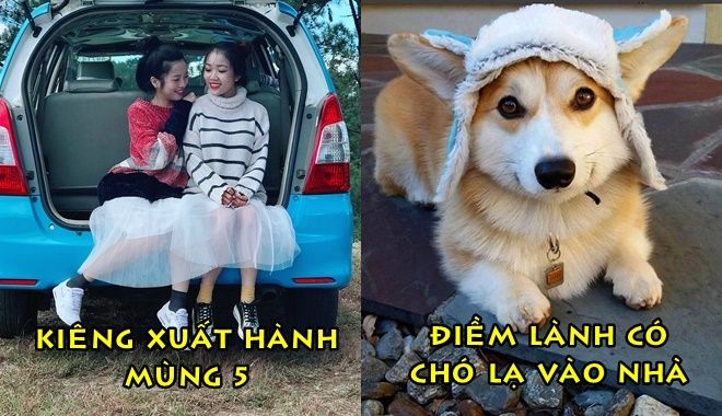 NHỮNG "ĐẠI KỊ" CẦN NÉ TRÁNH DỊP ĐẦU NĂM VÀ ĐIỀM LÀNH MAY MẮN NÀO SẼ ĐẾN VỚI BẠN?