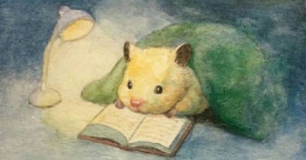 Đáng yêu vô đối: Cùng ngắm nhìn cuộc đời bé chuột lang qua nét vẽ của họa sĩ Nhật Bản