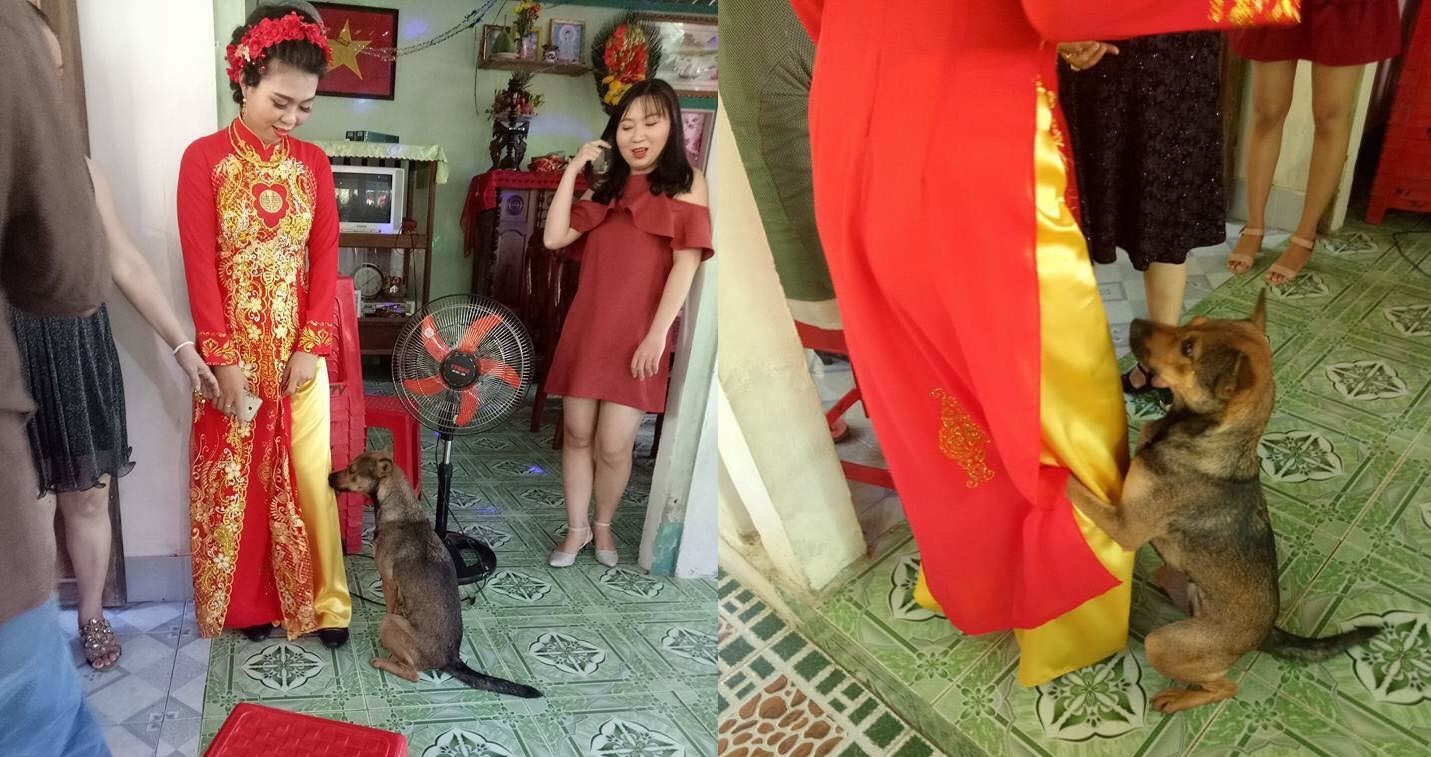 Gái lớn thì phải lấy chồng, họ hàng ai cũng vui mừng ngoại trừ "anh bạn" này