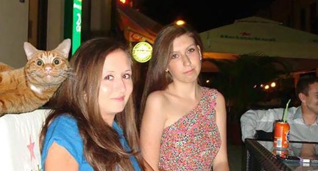 19 con mèo bẩn tính chuyên ném đá Hội những người thích chụp ảnh tự sướng