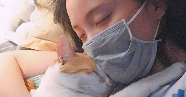 Sen bị dị ứng lông mèo còn cố nuôi “quàng thượng”, cái kết 7 năm tình bạn làm ai cũng xiêu lòng!