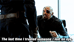 Sự thật kinh dị về con mèo rõ đáng yêu được Nick Fury vuốt ve trong Captain Marvel - Ảnh 8.