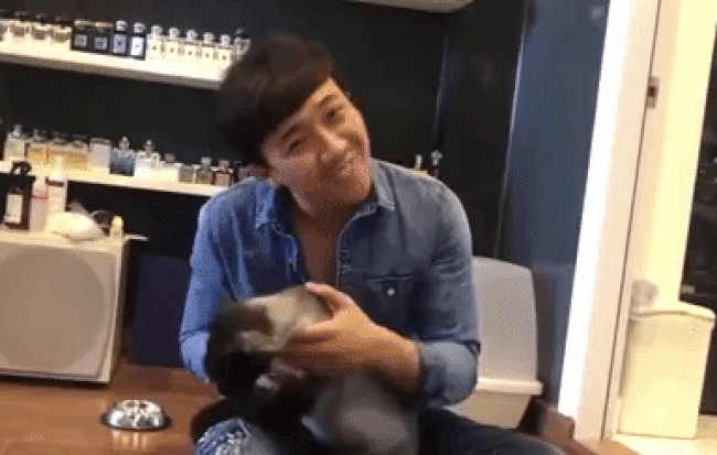 Cũng chính vì chú mèo này, bao nhiêu câu chuyện dở khóc dở cười nhà Xìn Ri đã từng khiến cộng đồng mạng được một phen "cười ra nước mắt". Ảnh: Internet
Cũng chính vì chú mèo này, bao nhiêu câu chuyện dở khóc dở cười nhà Xìn Ri đã từng khiến cộng đồng mạng được một phen "cười ra nước mắt". Ảnh: Internet