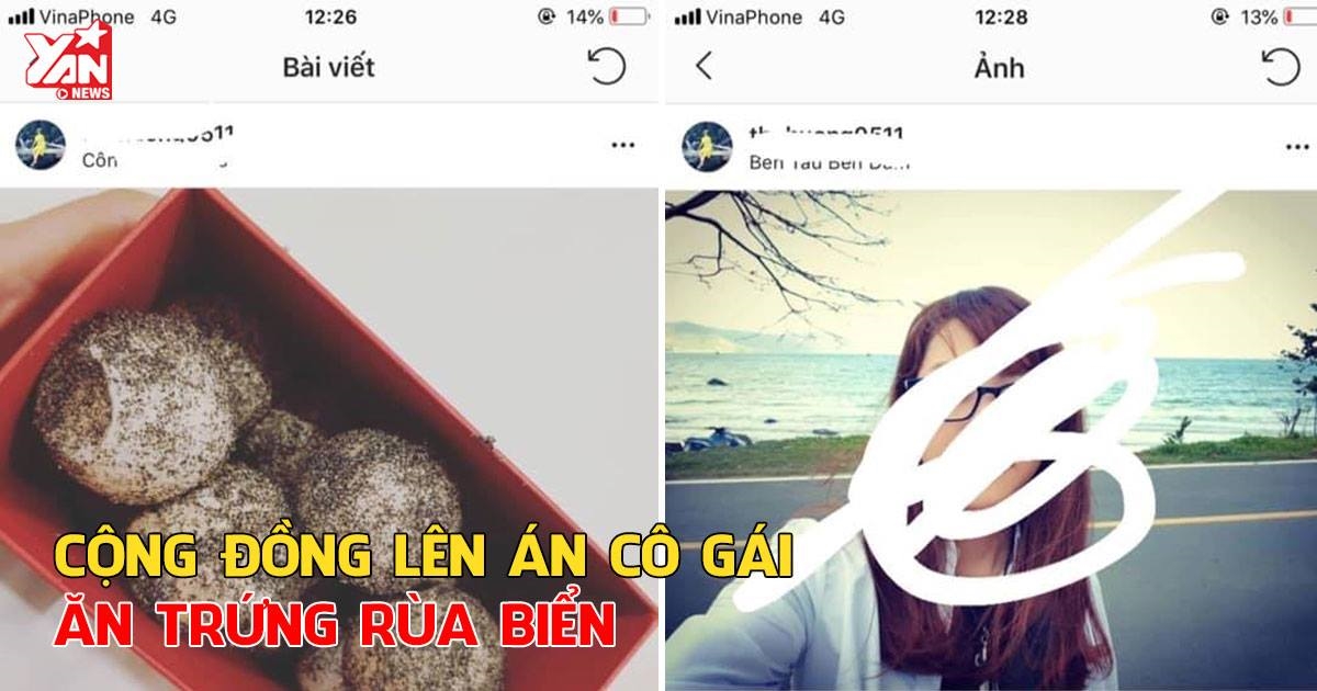 Luộc trứng rùa biển quý hiếm ăn còn "khoe" lên MXH, cô gái có nguy cơ bị phạt 50 triệu đồng?