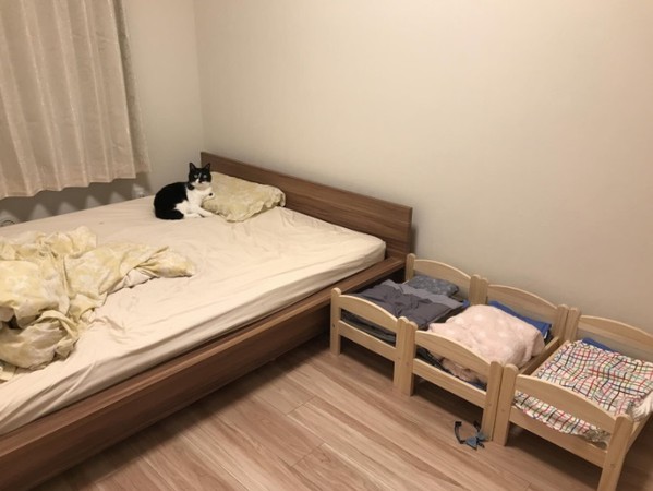 Con sen mua 3 cái giường về cho Hoàng thượng ngủ, nó liền tỏ thái độ lồi lõm đuổi Sen xuống 3 cái giường đỏ mà ngủ