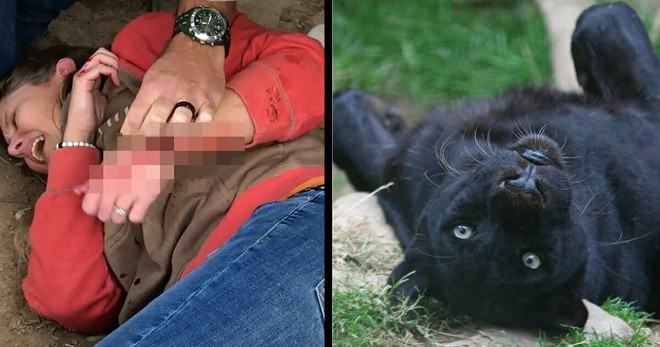 Con báo tấn công người phụ nữ vượt rào vào selfie được xử trắng án