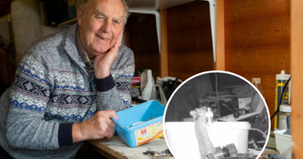 Như phim Disney: Ông lão phát hiện chú chuột nhỏ bí mật giúp mình dọn dẹp bàn làm việc mỗi đêm