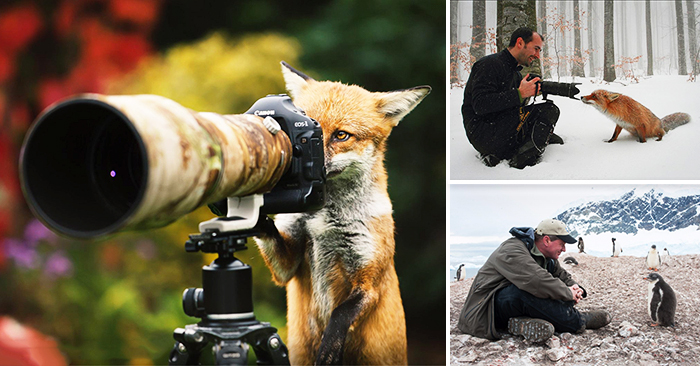 Thế giới động vật sống động qua lăng kính hài hước của các nhiếp ảnh gia