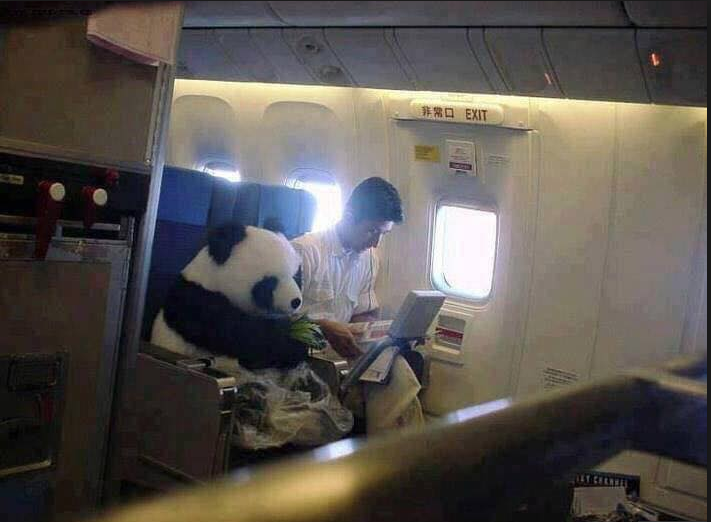 Vị "đại sứ ngoại giao" có 1-0-2 trên chuyến bay đến Nhật khiến mọi người sững sờ