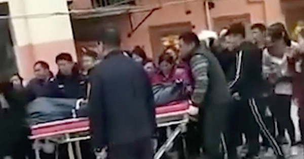 Trung Quốc: Nghịch tử 13 tuổi giết chết mẹ vì chú chó cưng