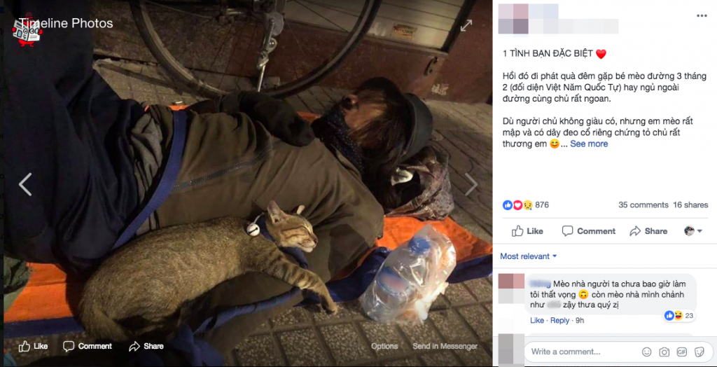 Chú mèo nhỏ nằm ngủ ngon lành trong vòng tay người đàn ông lang thang trên vỉa hè khiến nhiều người thương cảm