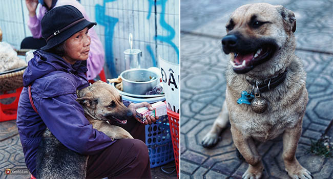 Câu chuyện đáng yêu của người phụ nữ bán vé số và chú chó lang thang ở Đà Lạt