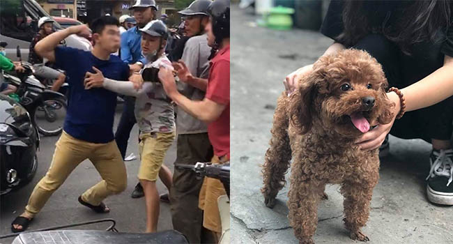 “Em vừa đấm vỡ mồm một con bé nuôi chó mất dạy” thanh niên được CĐM ủng hộ nhiệt tình