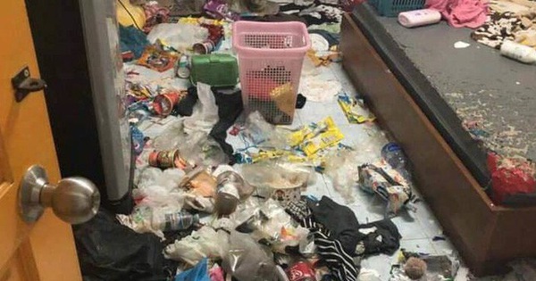 Xôn xao câu chuyện cô gái bùng tiền nhà trọ để lại căn phòng như bãi rác và 3 chú mèo ốm đói gây phẫn nộ