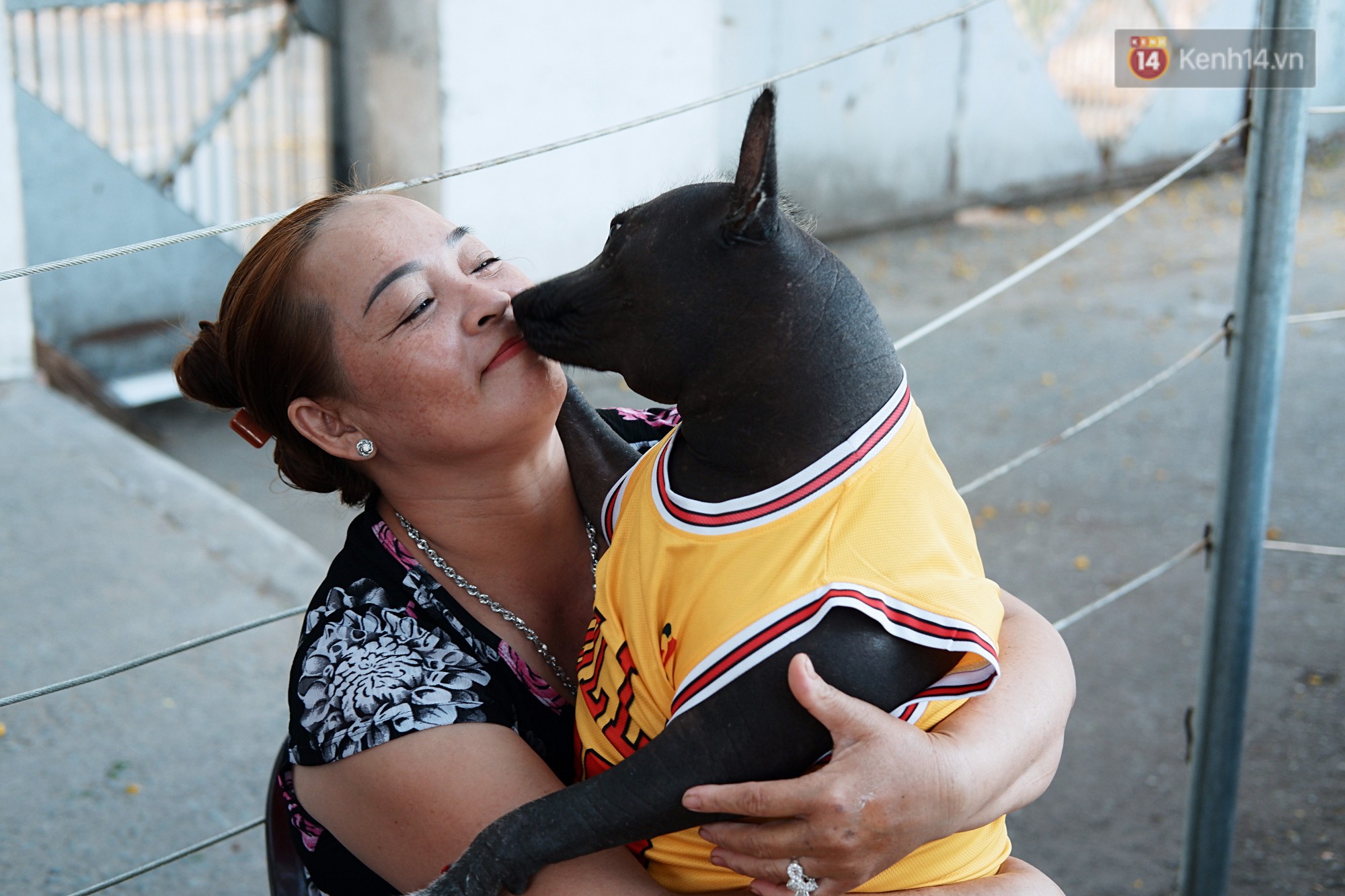 Câu chuyện tình bạn đáng yêu giữa bé chó xấu xí bị bỏ rơi và người mẹ đơn thân ở Sài Gòn