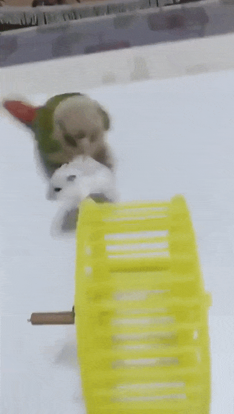  
Cái đồ xấu tính.