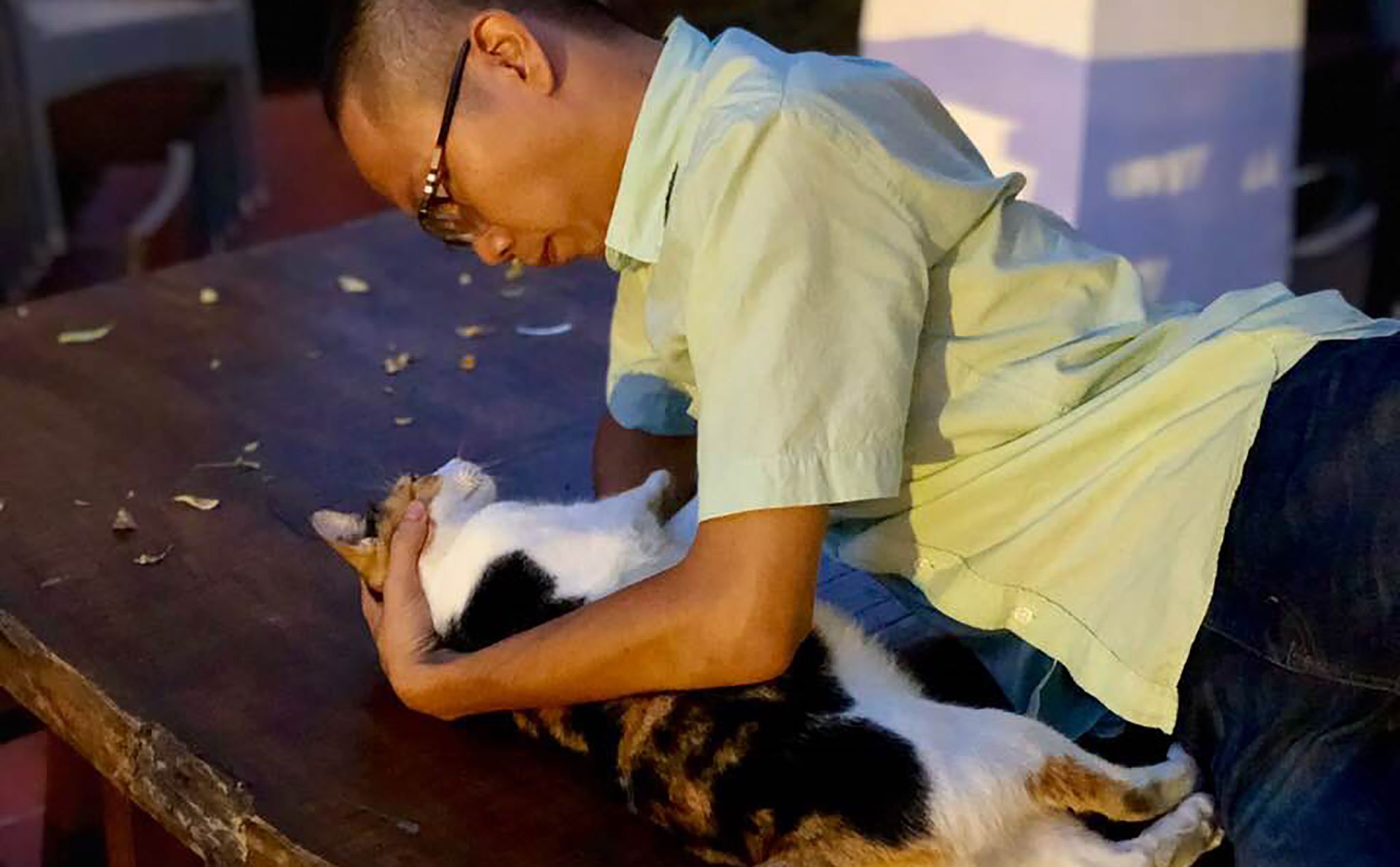 [Nghiên cứu] Mèo biết tên mà bạn đặt cho chúng, nhưng sẽ chẳng quan tâm khi được gọi