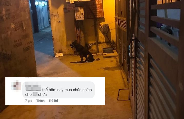 Thanh niên bị chú chó bắt nạt suốt 4 năm: Muốn về nhà phải "nộp thuế" đường bộ