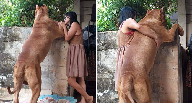 Lần đầu đến nhà người yêu ra mắt: “Vào đi anh nó hiền lắm không cắn đâu…”