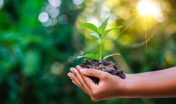 Earth Day 2019 - Ngày Trái Đất năm 2019 là gì và chúng ta cần làm gì trong ngày này ?