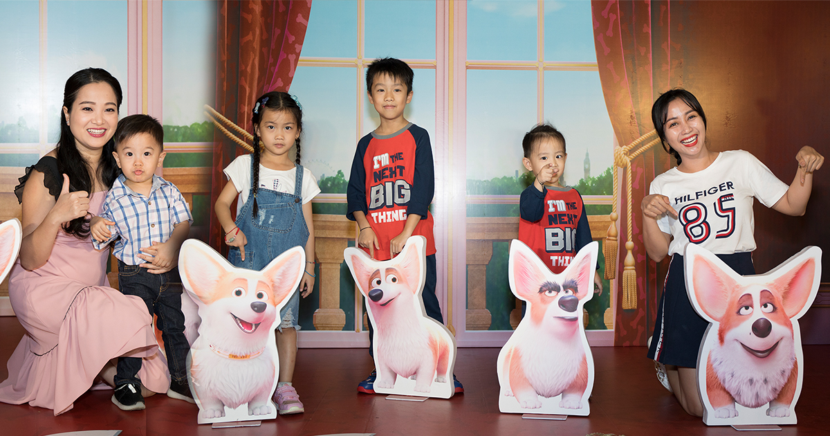 Gia đình sao Việt hào hứng với Corgi: Những chú chó hoàng gia