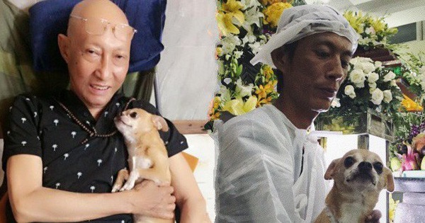 Chú chó Lucky được gia đình buộc tang trắng, quấn quýt bên linh cữu cố nghệ sĩ Lê Bình