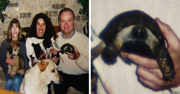 Tình bạn cảm động suốt 57 năm đằng đẵng của người phụ nữ và thú cưng đặc biệt - một cụ rùa