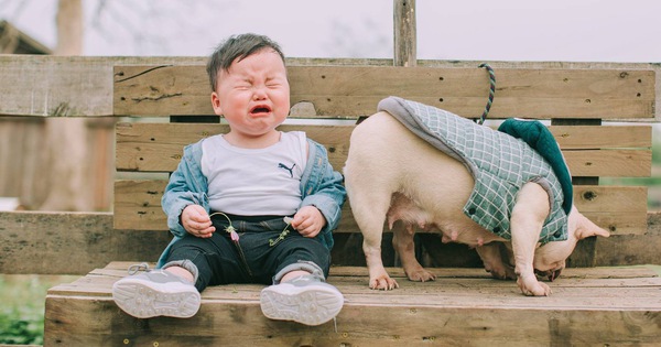 Cậu nhóc khóc ré "ăn vạ" khi phải chụp ảnh bên bạn chó: Dễ thương quá mức quy định rồi nhé!